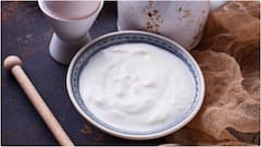 Summer Foods for Pregnant Women : సమ్మర్​లో గర్భిణీ స్త్రీలు తీసుకోవాల్సిన ఫుడ్స్ ఇవే.. హీట్​ని ఇలా బీట్ చేసేయండి