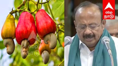 TN Agri Budget 2025: 50ஆண்டு கால கோரிக்கை; பண்ருட்டி மக்களுக்கு வந்தது விடியல் ; அமைச்சரின் அதிரடி அறிவிப்பு