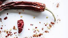 Why Chillies Are Hot: हरी मिर्ची से लेकर काली मिर्च तक...इन्हें खाने से तड़प उठता है इंसान, आखिर क्यों होती है इतनी तीखी?