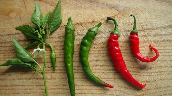 इसका नाम दुनिया की सबसे तीखी मिर्च के तौर पर गिनीज वर्ल्ड रिकॉर्ड में दर्ज किया जा चुका है. और किसी भी चीज के तीखेपन को SHU यानि स्कोवील हीट यूनिट के जरिए मापते हैं.