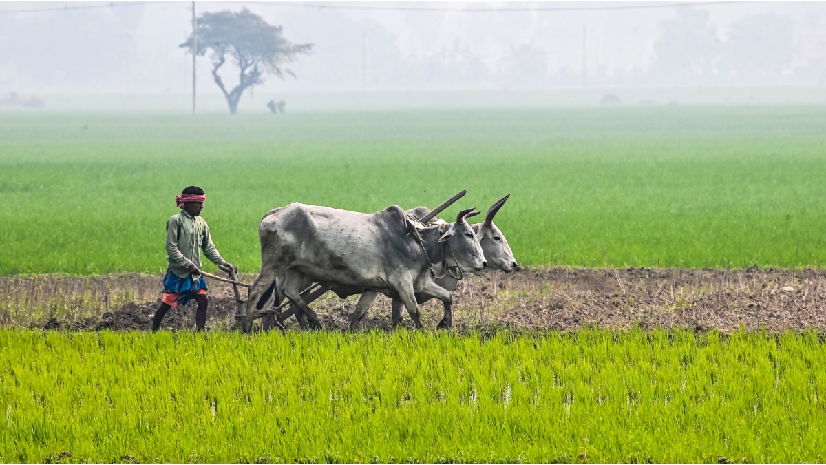 Bihar Land News: बिहार के जमीन मालिक ध्यान दें! विभाग ने भू-लगान को लेकर कही ये बात