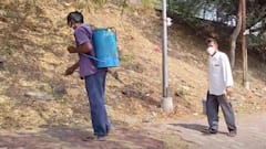 महाराष्ट्र में बर्ड फ्लू का कहर, 100 से ज्यादा कौओं की मौत, प्रशासन ने उठाया ये कदम