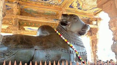 Why is Lord Nandi located at the entrance of the Shiva temple tnn சிவன் கோயிலில் நந்தி ஏன்  வெளியிலேயே இருக்கிறார்? என்ன வரலாறு? - பக்தர்களே தெரிந்து கொள்ளுங்கள்