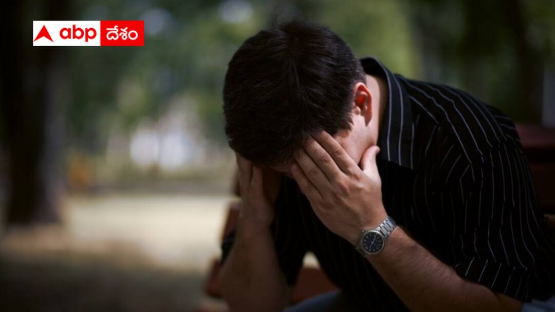 Bengaluru techie earning one And half lakh per month struggles to sustain family Life in a metro is fragile Bengaluru: బెంగళూరులో బతకడం కష్టమేనా - లక్షన్నర జీతం - అయినా ఫ్యామిలీని పోషించడం కష్టంగా ఉందంటున్న టెకీ !