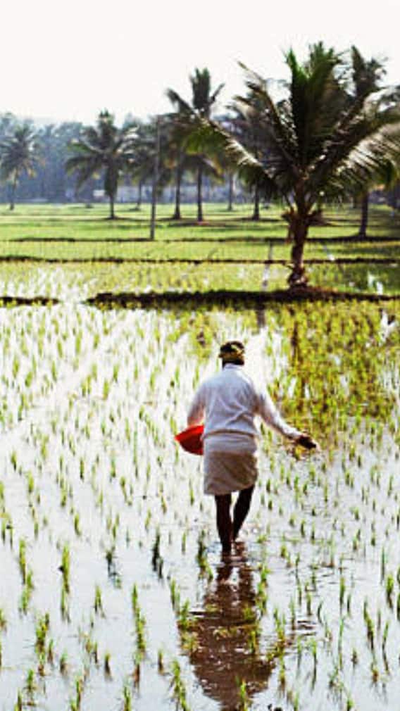 TN agri budget 2025: ரூ.6 லட்சம் மானியம்!