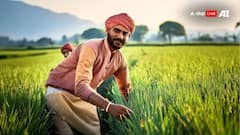 किसान 20वीं किस्त आने से पहले पूरा कर लें ये काम, नहीं तो अटक जाएंगे पैसे