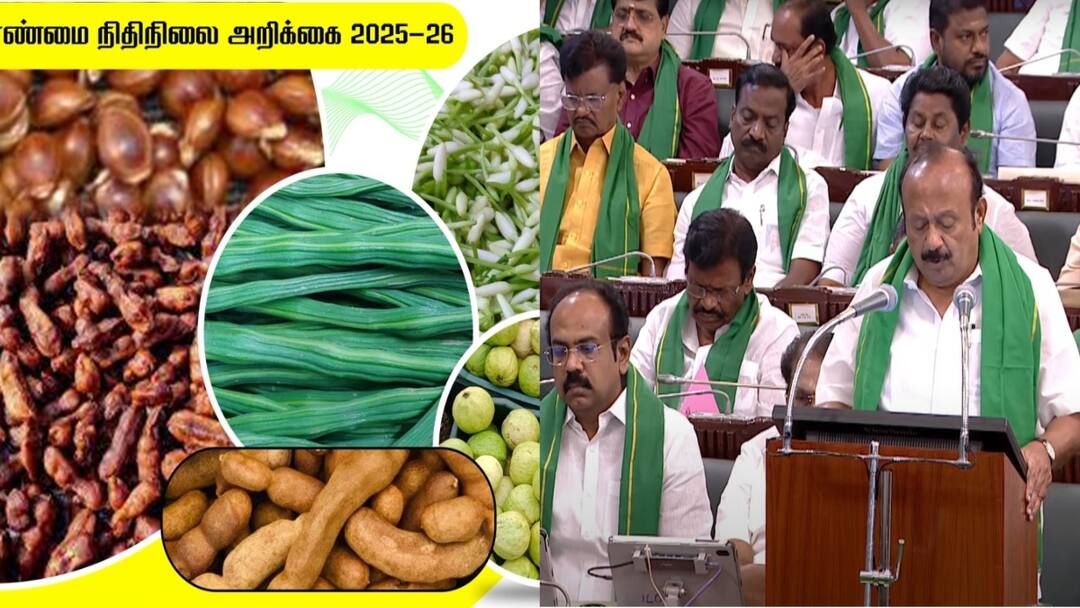 TN Agri Budget: நத்தம் புளி முதல் ஆயக்குடி கொய்யா வரை! 5 வேளாண் பொருட்களுக்கு புவிசார் குறியீடு - என்னென்ன?