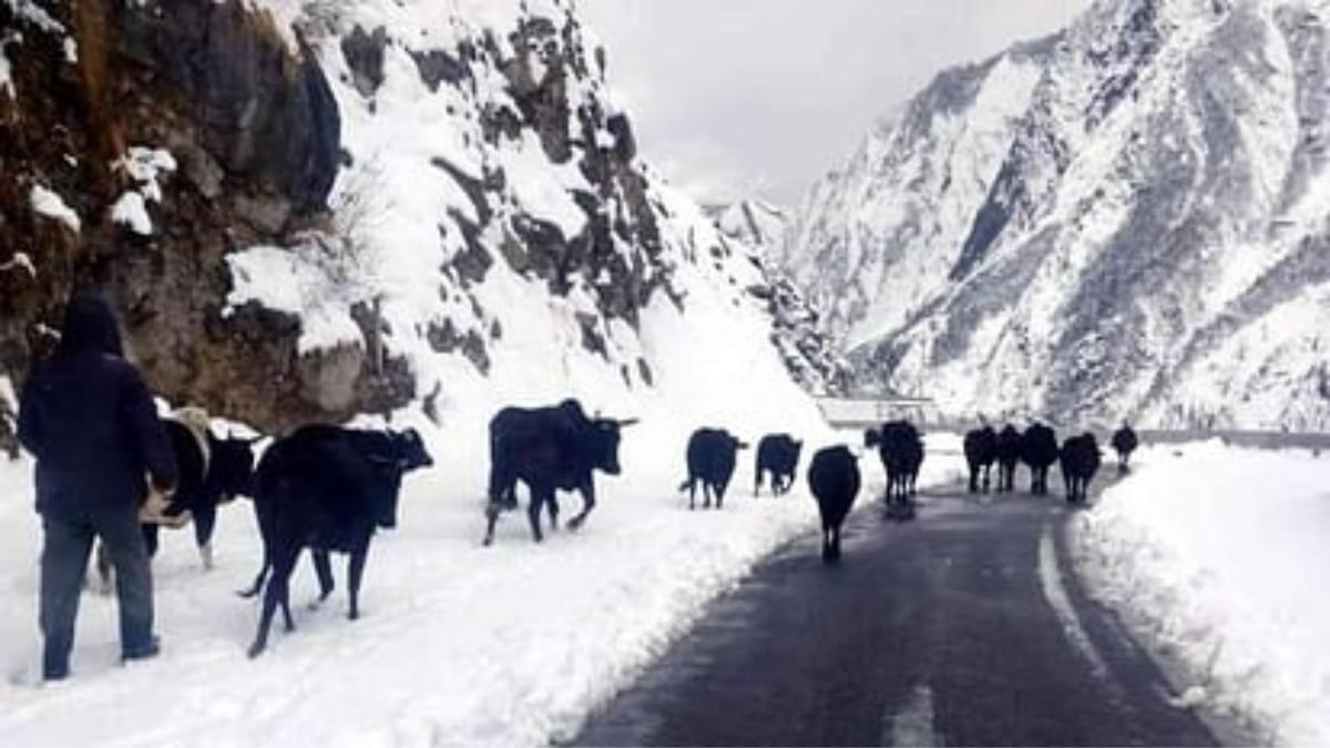 बदरीनाथ हाईवे बर्फ से ढका, शुरू नहीं हो पाई चारधाम यात्रा की तैयारियां, BRO और BKTC लेगी जायजा