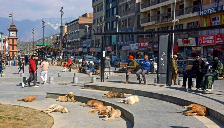 कई इलाकों में रविवार सुबह हल्की बारिश हो सकती है और दोपहर तक मौसम में सुधार होने की संभावना है. इसने कहा कि बर्फबारी और बारिश से तापमान में गिरावट दर्ज की गई है जिससे घाटी में ठंड बढ़ गई है.