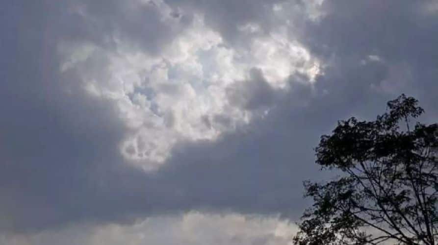 Punjab-weather-update-15 March 2025 rain-alert-thunderstorm-temperature-fall-Punjab-jalandhar-ludhiana-details inside Punjab Weather: ਪੰਜਾਬ 'ਚ ਤੇਜ਼ ਗਰਜ ਨਾਲ ਤੂਫ਼ਾਨ ਮਚਾਏਗਾ ਕਹਿਰ, ਇਨ੍ਹਾਂ ਜ਼ਿਲ੍ਹਿਆਂ 'ਚ ਛਮ-ਛਮ ਵਰ੍ਹੇਗਾ ਮੀਂਹ; ਯੈਲੋ ਅਲਰਟ ਜਾਰੀ...