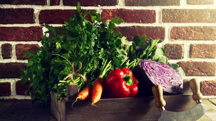 अगर आप अपने किचन गार्डन में भी ऐसी सब्जियां उगाना चाहते हैं तो चलिए आज हम आपको बताते हैं कि एकदम फ्रेश धनिया उगाने के लिए आपको क्या करना होगा.