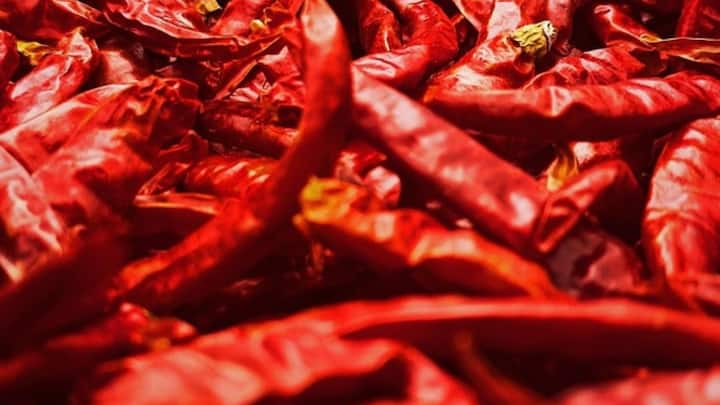 भारत में लोग खूब तीखा खाना खाना पसंद करते हैं, लेकिन सबसे तीखी मिर्च अमेरिका में मिलती है. इसका नाम है कैरोलीना रीपर. ये मिर्च देखने में कुछ-कुछ शिमला मिर्च की तरह लगती है.