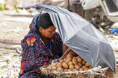 West Bengal Weather : ৪০ ছোঁবে পারদ, বঙ্গে ছুটবে হিটওয়েভ, এই দিন থেকেই তুমুল বৃষ্টি