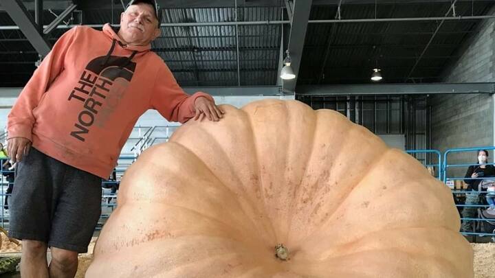 Giant Vegetables In Alaska: अलास्का दुनिया का एक ऐसा राज्य है, जहां पर फल और सब्जियां बहुत ही विशाल आकार में पाए जाते हैं. ऐसा यहां के वातावरण की वजह से होता है, जो कि इसे खास बनाता है.