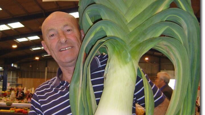 अलास्का में 2021 में सौंफ का वजन 11 पाउंड, लहसुन .38 पाउंड, लौकी की लंबाई 10 फीट 8 7/8 इंच, भिंडी की लंबाई 8 इंच और तीखी मिर्च की लंबाई 15 ¼ इंच के लिए नए रिकॉर्ड बनाए गए थे.