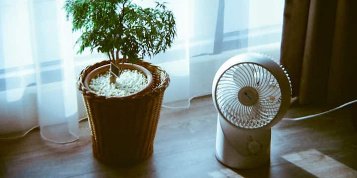 अगर आप थोड़ा बड़ा और ज्यादा पावरफुल फैन चाहते हैं, तो CRYO 230 MM High Speed 9 Inch Table Fan आपके लिए उपयुक्त हो सकता है. इसकी हाई-स्पीड मोटर अच्छी हवा देने में सक्षम है.