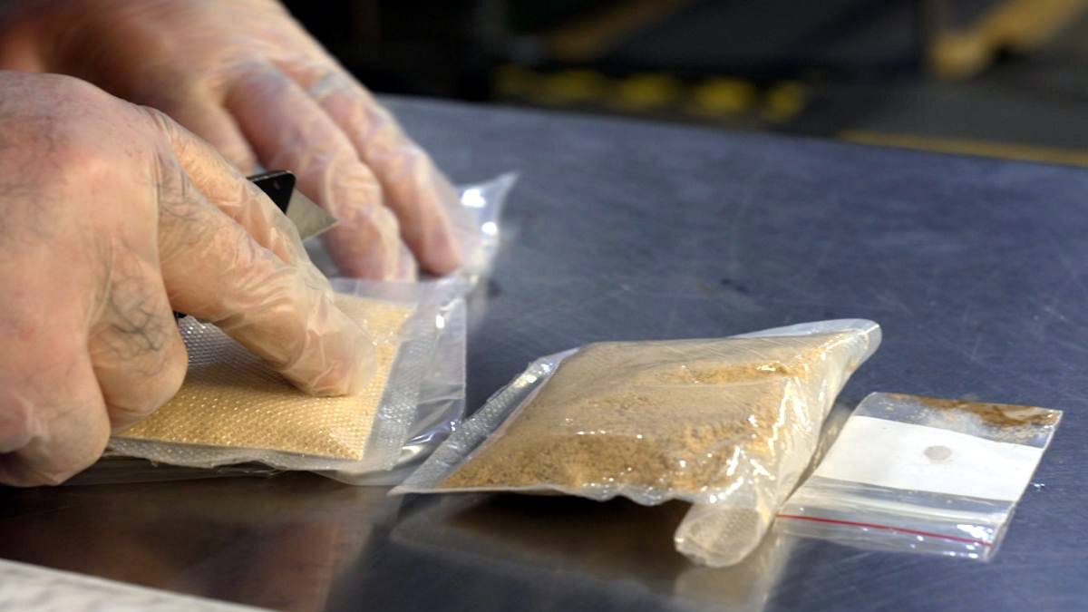 Kerala : போதை பொருள் கடத்தல்.. நீதிபதியின் மகன் கைது..! கேரள போலீசார் அதிரடி..