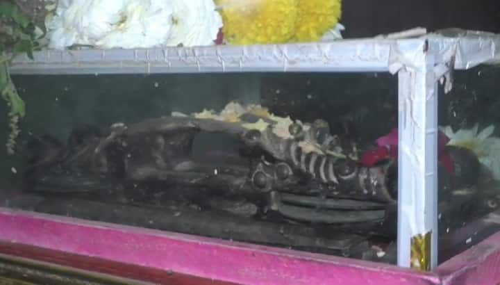 जगद्गुरुंच्या चिपळ्या आणि पादुका या बडोद्यात होत्या. महाराजांचे दहावे वंशज ज्ञानेश्वर महाराज यांनी पंढरपूर येथे आणल्या आणि देवघरात पूजेसाठी ठेवल्या होत्या.