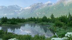 Giant Vegetables In Alaska: 10 फीट की लौकी से साढ़े 15.5 की मिर्च तक, इस देश में इतने भारी-भरकम क्यों होते हैं सब्जी और फल, क्या है इसका रहस्य