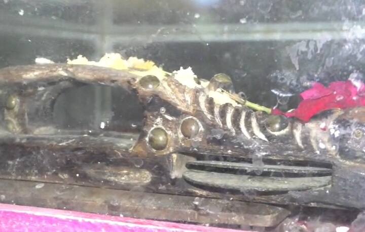 आज बीजेच्या जगद्गुरुंचे अकरावे वंशज ह भ प बाळासाहेब देहूकर यांनी जगद्गुरूंच्या चिपळ्या आणि पादुका समस्त वारकरी संप्रदाय आणि भाविकांसाठी दर्शनाला खुल्या केल्या आहेत.