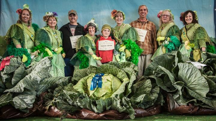 क्या आपने कभी सोचा है कि अलास्का में सब्जियां इतने बड़े आकार तक कैसे बढ़ सकती हैं. यहां की सब्जियां और फल आमतौर पर बहुत ही विशाल आकार में होते हैं. इसका रहस्य अलास्का के अनोखे वातावरण में छिपा है.