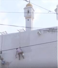 श्रमिकों ने शुरू किया संभल जामा मस्जिद की दीवारों को रंगना | ABP NEWS SHORTS