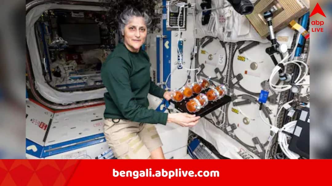 Sunita Williams: অনিশ্চয়তায় কাটছিল দিন, স্বীকার করলেন সুনীতা, ঘরে ফেরার আগে আবেগপ্রবণ হয়ে পড়লেন Sunita Williams Homecoming Indian Origin Nasa Astronaut reveals what she will miss about International Space station once she comes back to earth Sunita Williams: অনিশ্চয়তায় কাটছিল দিন, স্বীকার করলেন সুনীতা, ঘরে ফেরার আগে আবেগপ্রবণ হয়ে পড়লেন