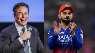 क्या IPL 2025 का खिताब जीतेगी विराट कोहली की RCB? एलन मस्क के Grok AI ने दिया ये जवाब