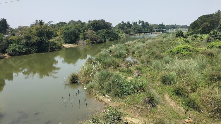 Thanjavur news Vennar river transformed by sand dunes Farmers in fear tnn எப்படி இருந்த நான் இப்படி ஆகிட்டேன்... விவசாயிகள் கண்டு அச்சப்படுவது எதற்காக?