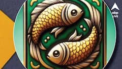 Saptahik Rashifal : সপ্তাহের শেষে ছুটবে এই রাশির ভাগ্যের ঘোড়া, এক চুল ভুলেই সর্বনাশ !