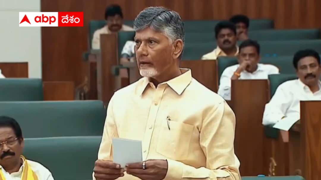 Chandrababu Naidu said that the Telugu Desam Party lost in the past because of him Chandrababu: గతంలో టీడీపీ ఓడిపోయింది నా వల్లే - మరి ఆ తప్పులు దిద్దుకుంటున్నారా?