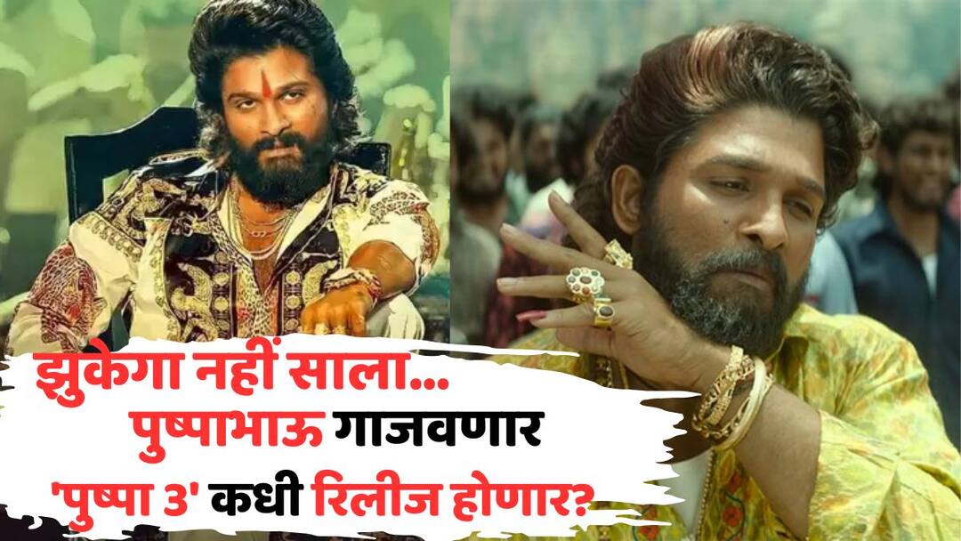 Pushpa 3 Rampage Release Date allu arjun film release confirm for 2028 know more details Pushpa 2 The Rule Director Sukumar बॉक्स ऑफिस म्हणणार, 'झुकेगा नहीं साला'; अल्लू अर्जुनचा 'पुष्पा 3' कधी रिलीज होणार? मेकर्सकडून मोठी अपडेट
