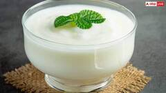 એક વાટકી દહીં અનેક રોગોને રાખશે દૂર, જાણો તેને ખાવાનો યોગ્ય સમય