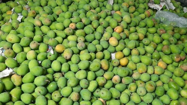Salem Mango season has arrived Food Safety Department warns traders tnn Salem Mango: மாம்பழ சீசன் வந்தாச்சு... மக்களே உஷார்... வியாபாரிகளுக்கு எச்சரிக்கை