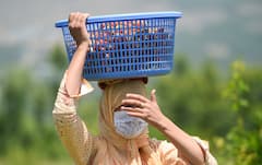 आसमान से बरसेंगे शोले! IMD ने जारी किया हीटवेव का अलर्ट, दिल्ली में पारा पहुंचेगा 40 के पार, इन राज्यों में बारिश देगी सुकून