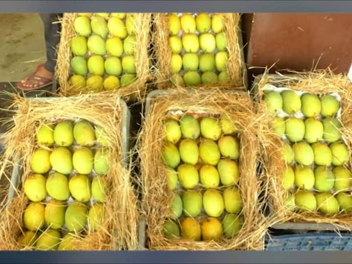 साताऱ्यात देवगड हापूस आंब्याच्या पहिल्या मानाच्या पेटीला साताऱ्यात 20 हजार रुपये भाव मिळाला.