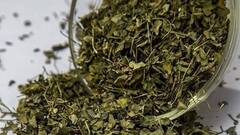 Kasuri Methi Health Benefits: স্বাদ-গন্ধের জন্য রান্নায় দেন, জানেন এই বিশেষ মেথির কী কী গুণ রয়েছে?