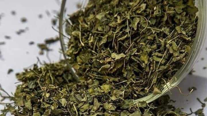 প্রতিদিনের রান্নায় অল্প পরিমাণে কসৌরি মেথি ব্যবহার করলে এবং সেই খাবার খেলে কী কী উপকার পাবেন আপনি, একনজরে দেখে নিন।