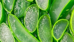 8 Aloe Vera Hacks For Glowing Skin