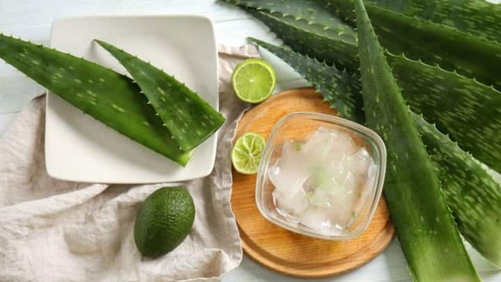 3. Natural Exfoliator: Pure aloe vera gel can be mixed with coffee or sugar to make an exfoliating scrub. This gentle scrub helps in removing the dead skin cells without being harsh on the skin. It unclogs pores and enhances the skin's radiance while keeping your skin nourished and moisturised. (Image Source: Pinterest/readersdigest)