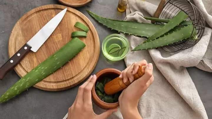 7. Anti Ageing Properties: Aloe Vera is packed with vitamins C and E which boosts collagen production. It reduces fine lines, firms the skin, and restores elasticity. It gives your face a youthful and rejuvenated look. (Image Source: Pinterest/stylecraze)