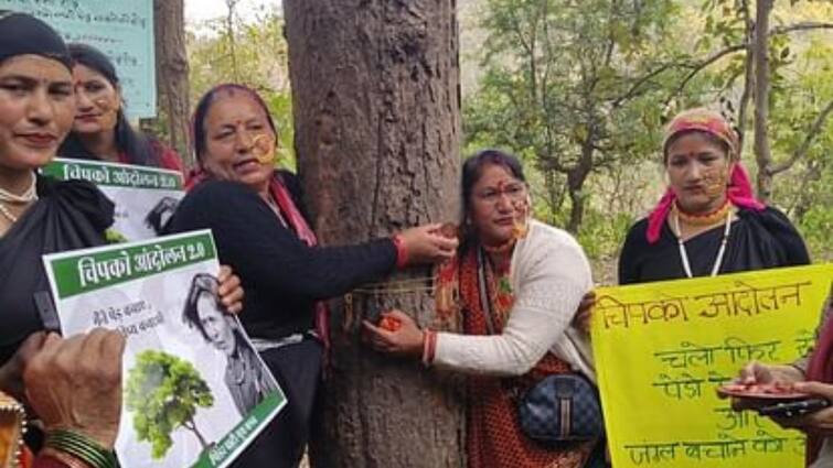 Environmentalists started Chipko Andolan 2.0 to stop felling of trees in Rishikesh ANN चिपको आंदोलन 2.0: उत्तराखंड में पेड़ों से चिपकीं महिलाएं, पर्यावरण प्रेमी क्यों कर रहे हैं बड़ा प्रदर्शन?