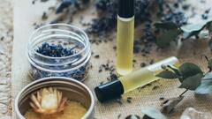 Shalimar Perfume: इश्क की खुशबू से गुलजार है दुनिया में दूसरा सबसे ज्यादा बिकने वाला यह इत्र, इस मुगल बादशाह से बेहद खास कनेक्शन