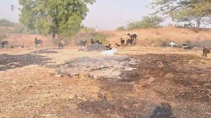 खोक्या उर्फ सतीश भोसले याच्या घरावर वनविभागाने कारवाई केल्यानंतर अज्ञातांनी त्याच्या घराबाहेर पडलेल्या जनावरांच्या चाऱ्यालाही पेटवून देण्याचा प्रयत्न केला .