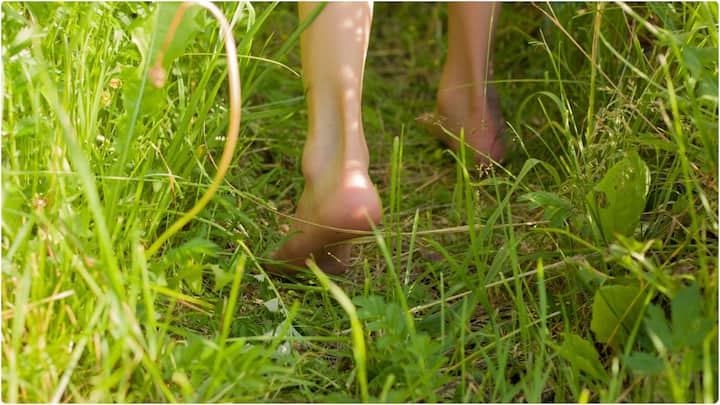 గడ్డి మీద చెప్పులు లేకుండా నడిస్తే అది రక్త ప్రసరణను మెరుగుపరుస్తుంది. ఇది మానసిక ప్రశాంతతను అందించి.. నాడీ వ్యవస్థను మెరుగుపరుస్తుంది.