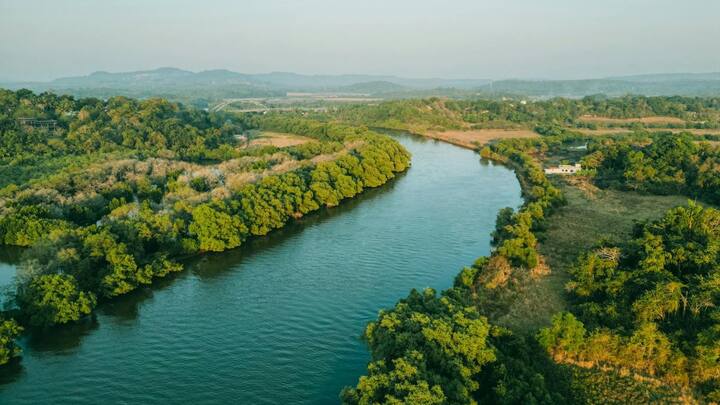 हालांकि बाद में रिपोर्ट आई कि नदी का पानी साफ है. लेकिन आखिर पानी की शुद्धता की जांच कैसे की जाती है. चलिए इसके बारे में थोड़ा विस्तार से जानें.