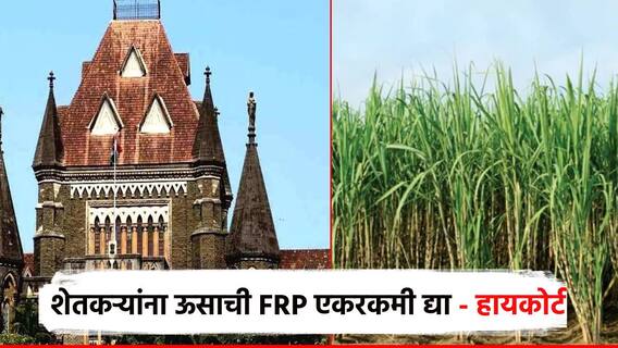 मोठी बातमी! शेतकऱ्यांना ऊसाची FRP एकरकमी द्या, हायकोर्टाचे सरकारला आदेश; जुना निर्णय रद्द