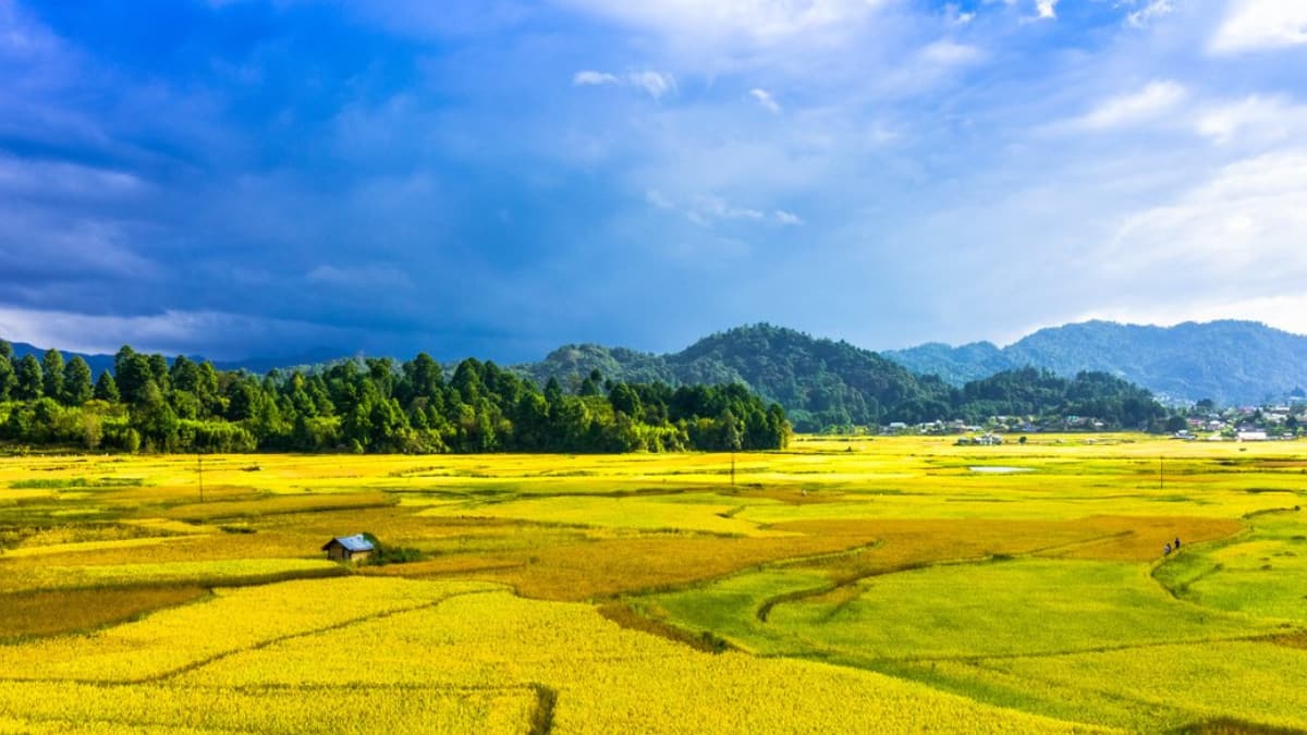 (Image Source: Twitter/ ArunachalTsm)