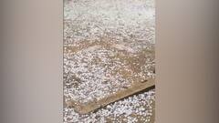 Hailstorm : চৈত্র পড়তেই জেলায় জেলায় শিলাবৃষ্টি ? কীভাবে অত ওপরে জমাট বাঁধে বরফ, নেমে আসে গোলার মত ?