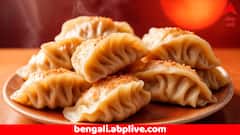 মোমো ফ্যাক্টরির ফ্রিজে মিলল কুকুরের কাটা মাথা ! সাংঘাতিক ঘটনা; চলছে তদন্ত